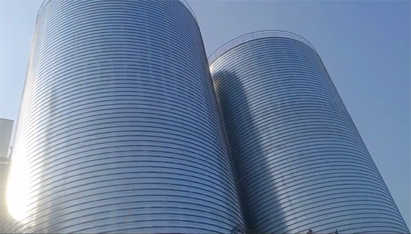 工业园区2座混凝土高架卷板仓